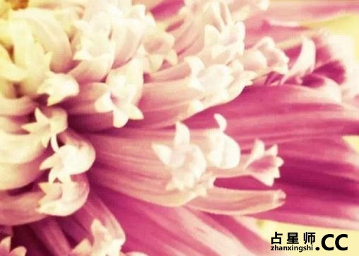 眉毛代表什么 眉形暗示什么信息