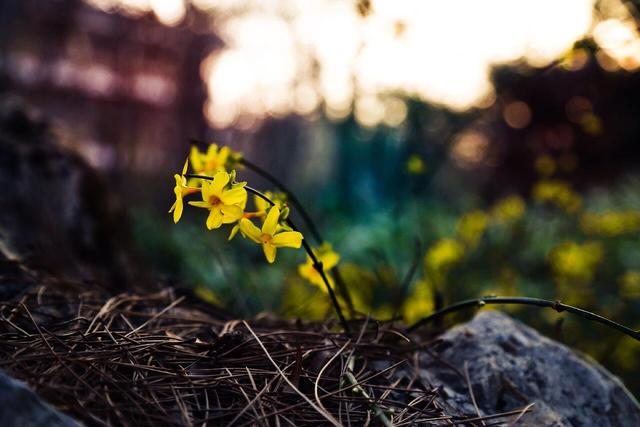 知此修真三要义,方能真正了解全真道