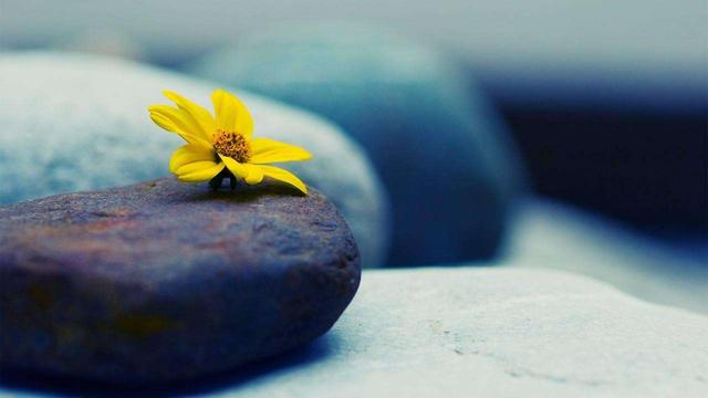 老子智慧:抱朴守真逍遥一生