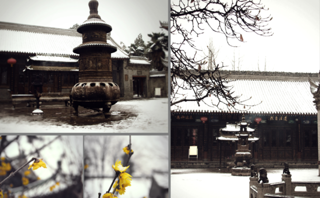 问道修仙再起航：“弘道读经会”正式招募啦！