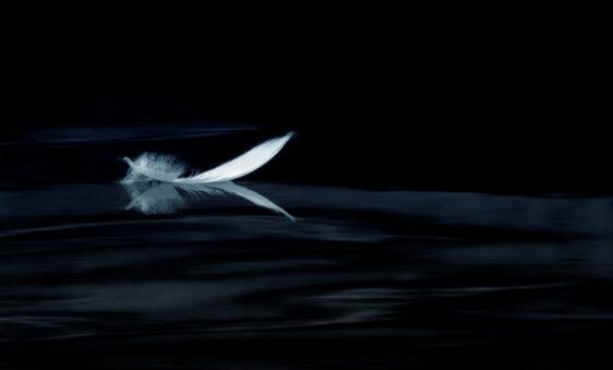 张三丰《养生篇》对当代养生的启示