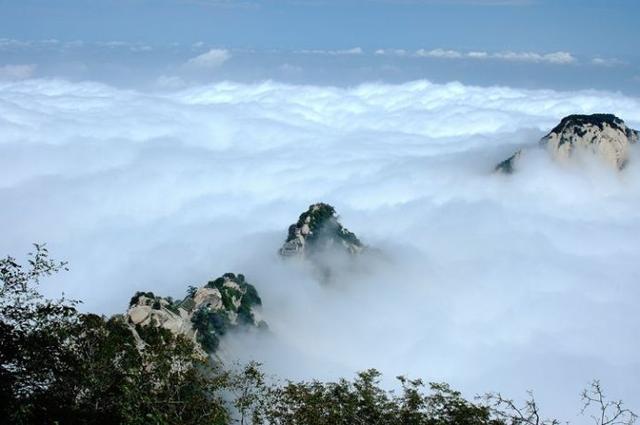 金丹之道七种典型功象