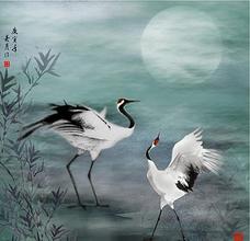 宽然自得 以忧容之 庄子为何不治天下