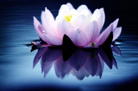 《龙门心法》摘录,二 道教徒的修养