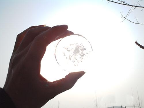 庄子最奢华的陪葬品是什么？