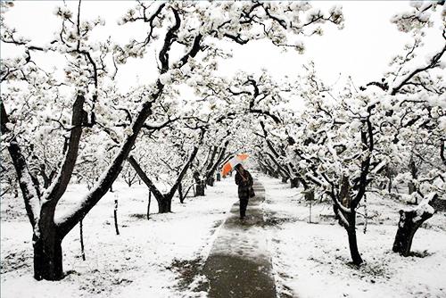 鲁北神医李肇永:道缘深厚 医德高绝