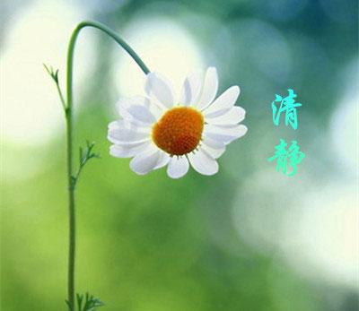 清静经注解：人心品第六