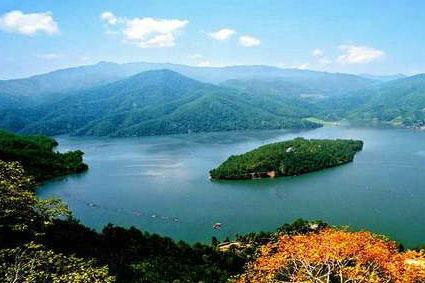 那些年,我们记忆中龙的故事