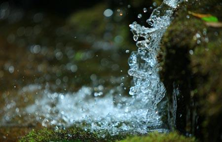 《灵源大道歌》陈撄宁注解23:真息