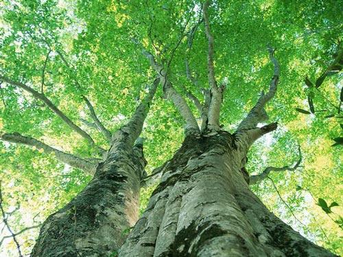 十大基本要旨 帮你了解道教修持