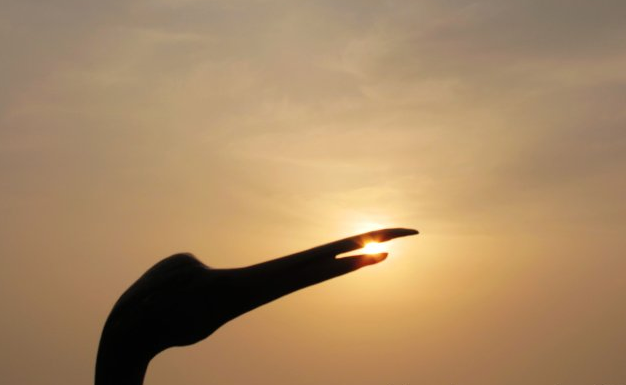 大师论道丨摒除勿念 大道近于咫尺