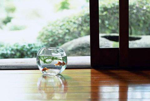 养生备于理：养性修身 “四不浊”妙语