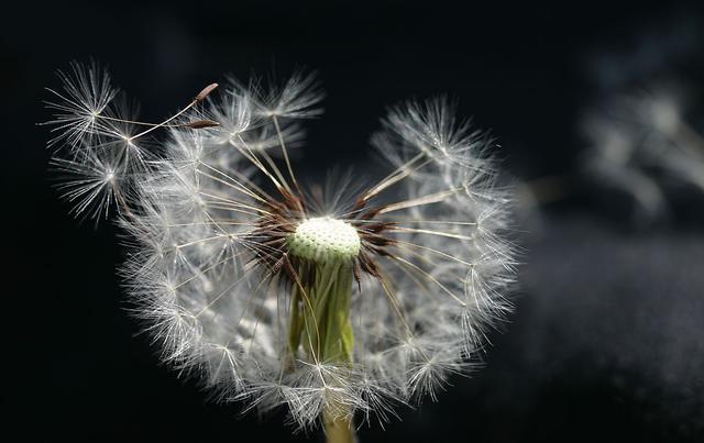 庄子独创词汇：囊人生天地，藏大道玄机