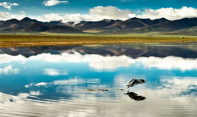 庄子独创词汇：囊人生天地，藏大道玄机