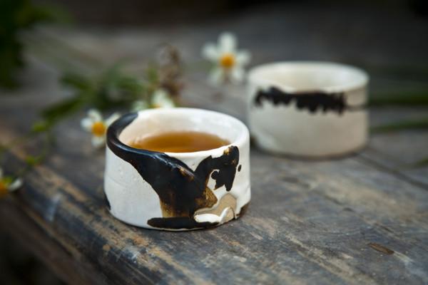 郑观应与道教丨道教思想教你防病于未然