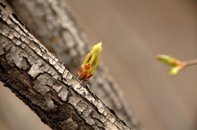 张三丰祖师《打坐歌》译解 ,十九