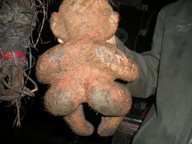 人形葛根天价被收，让我想起千年何首乌的故事