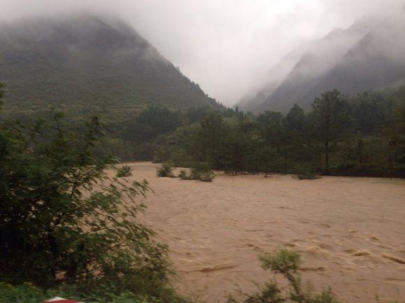 人形葛根天价被收，让我想起千年何首乌的故事
