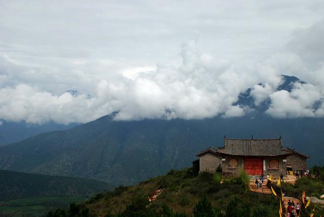 人形葛根天价被收，让我想起千年何首乌的故事