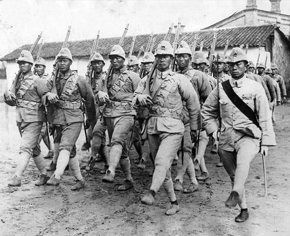 人形葛根天价被收，让我想起千年何首乌的故事