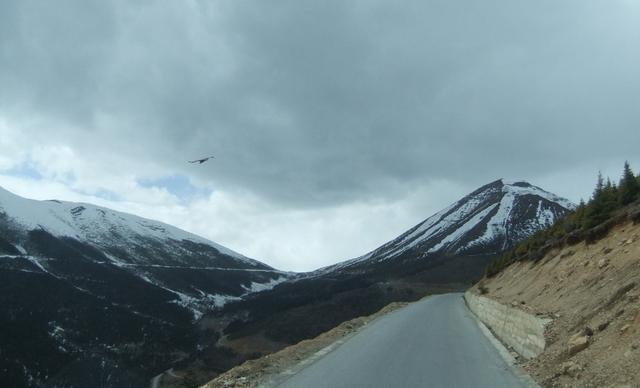 《道德经与人生》丨孔子与刍狗：不以自然之道应化于世怎能不穷途末路