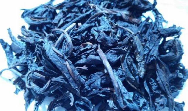 这道老茶 喝到重生智慧开 