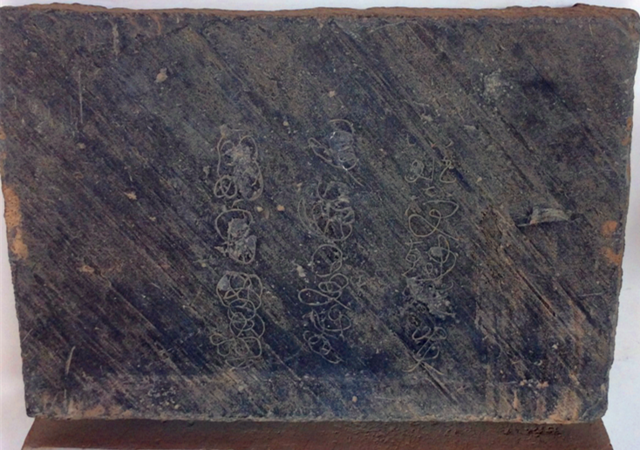 “无字天书”重现江湖？求大神不吝赐教来识字