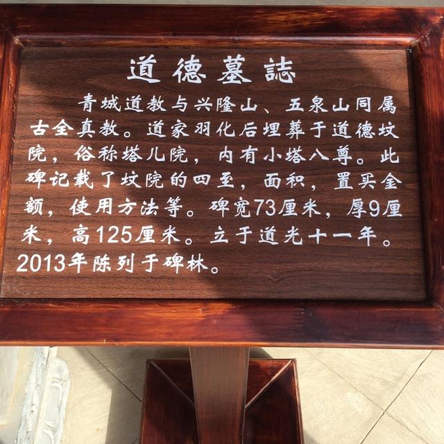 “无字天书”重现江湖？求大神不吝赐教来识字