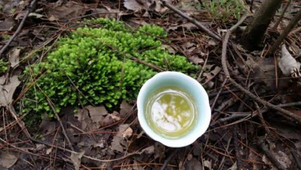 为饮最宜精行俭德之人 一杯茶喝出道德人心