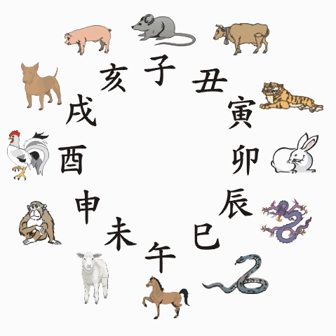 十二生肖2026年运势11月运势大全