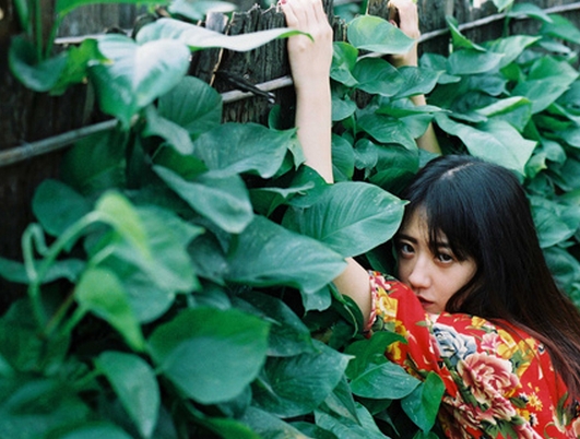 丙火生于卯月命理解说