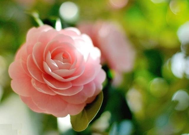 弘道读经会|修的是心 养的是德 