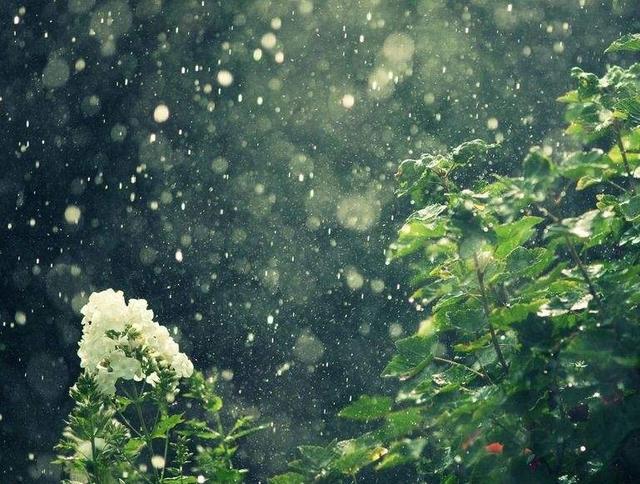 弘道读经会|修的是心 养的是德 