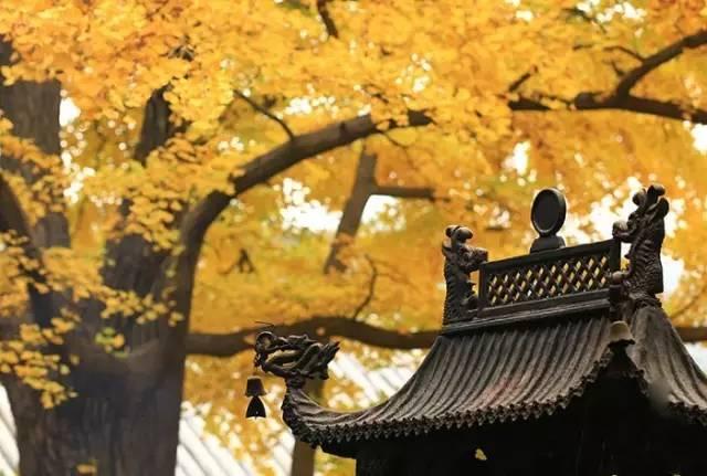 弘道读经会|修的是心 养的是德 