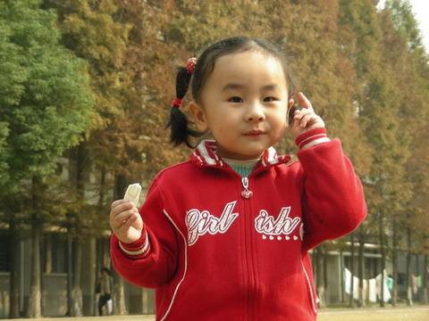 犯太岁化解方法2026年