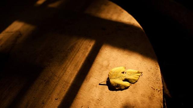 弘道读经会|道教常识扫盲第二站：详解道教的礼拜规矩