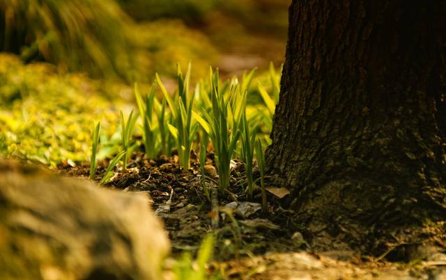 略谈陈莲笙大师的“道教定位”