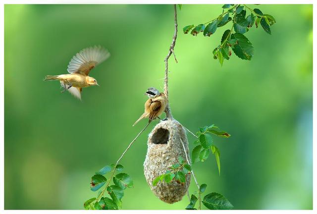 庄子：以道用世，万物皆可实现逍遥