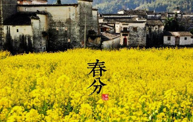 道医养生笔记|春分养生：春分之后要“防风”