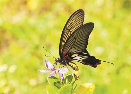 庄子：天下由来轻两臂，世间何苦重连城
