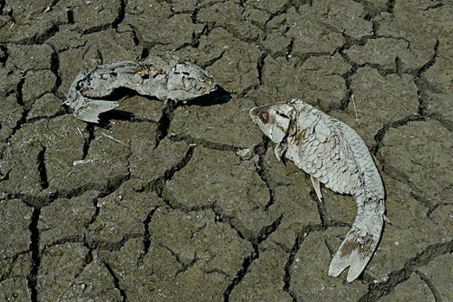 妈祖传奇故事丨治昏官雨济万民