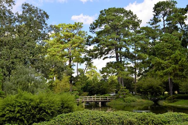 当代高道李果真：所谓修行，踏实就好