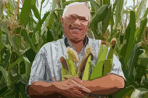 圆下巴面相 让你更加了解圆下的面相知识。