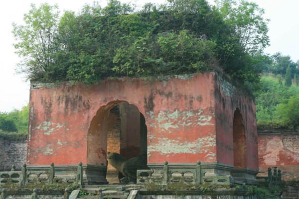 元朝“学霸”揭斯与他心中泽被万物的武当山