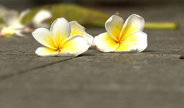 读心术？催眠术？从《清稗类钞》看圆光之术