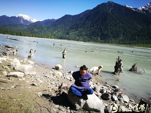 图语金丹|修真图悟真,五:详解五脏神的修炼