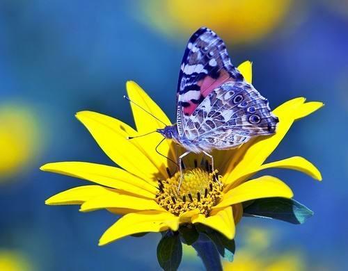 道医丨为伊消得人憔悴背后的医学道理