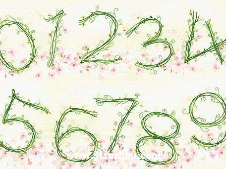 生日测算之幸运数字