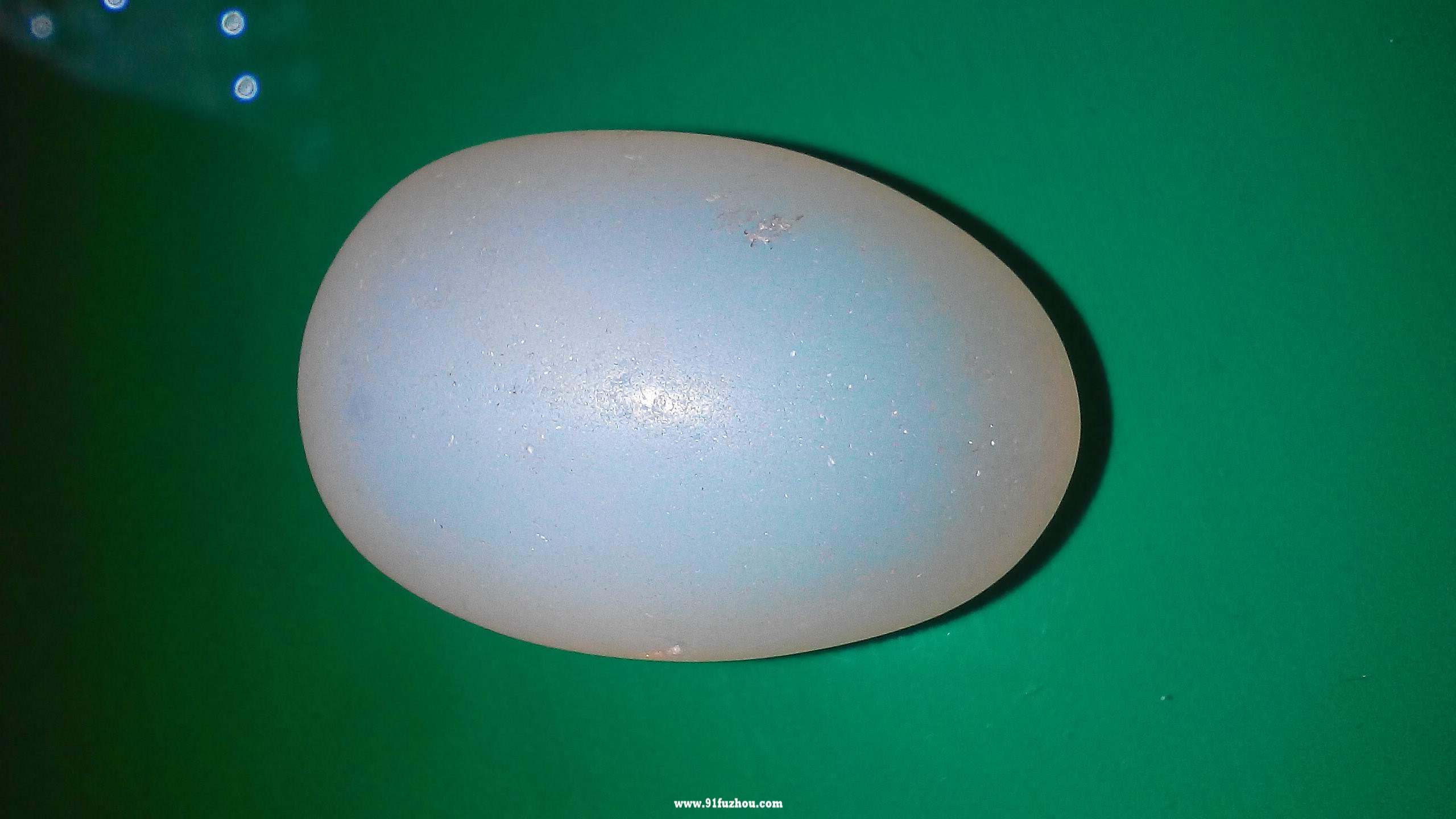 生日测算之蛋白石