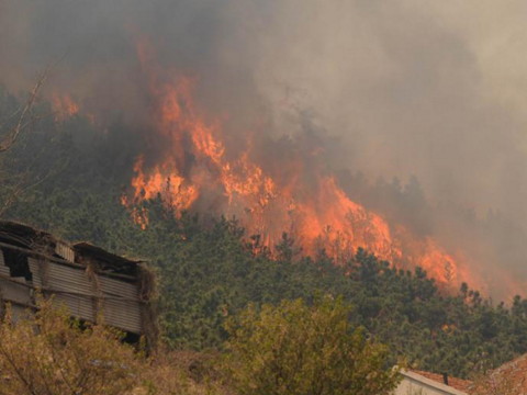 揭秘上坟烧纸起火暗示什么